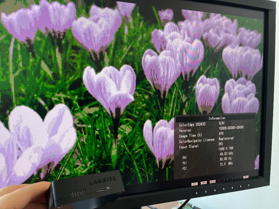 Purple and white crocuses on monitor with dev board.