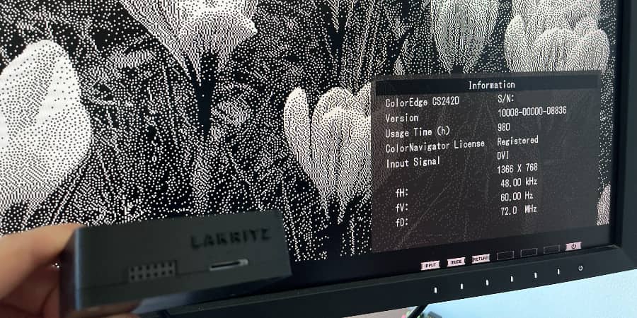 Lakritz dev board generating black and white dithered photograph of crocuses.