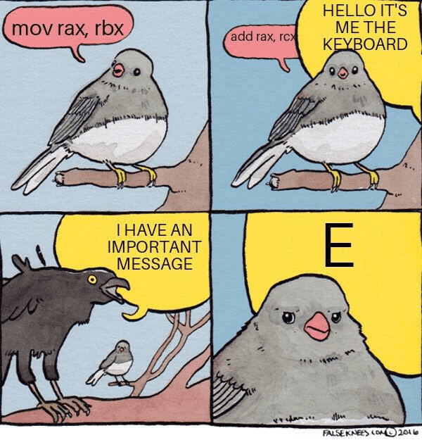 A four panel cartoon of a bird sat on a branch. In the first panel it has a speech bubble that says 'mov rax, rbx'. The second panel has the bird is saying 'add rax, rcx' but is being overlapped by a big yellow bubble that says in all caps 'HELLO ITS ME THE KEYBOARD'. In the third panel a raven with a yellow bubble says 'I HAVE AN IMPORTANT MESSAGE'. In the fourth panel the original bird looks vexed and the yellow bubble says 'E'.